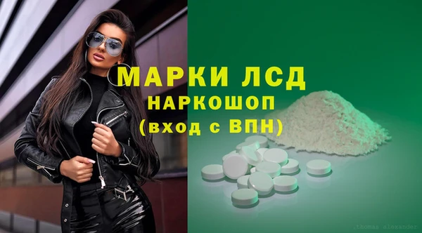 PSILOCYBIN Волосово