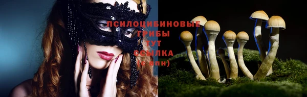 гидропоника Верхнеуральск
