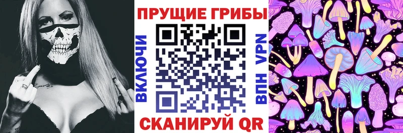 хочу   Всеволожск  Псилоцибиновые грибы Cubensis 